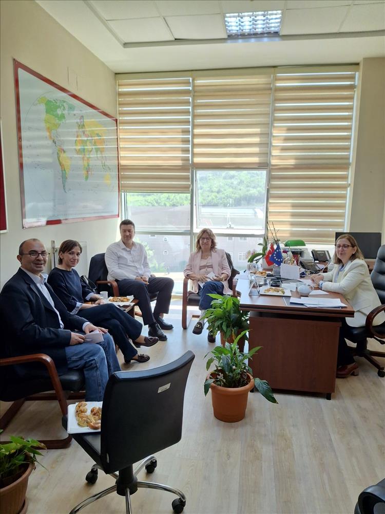 Uluslararası İlişkiler Bölümü Dış Paydaş ve Danışma Kurulu Toplantıları Gerçekleştirildi